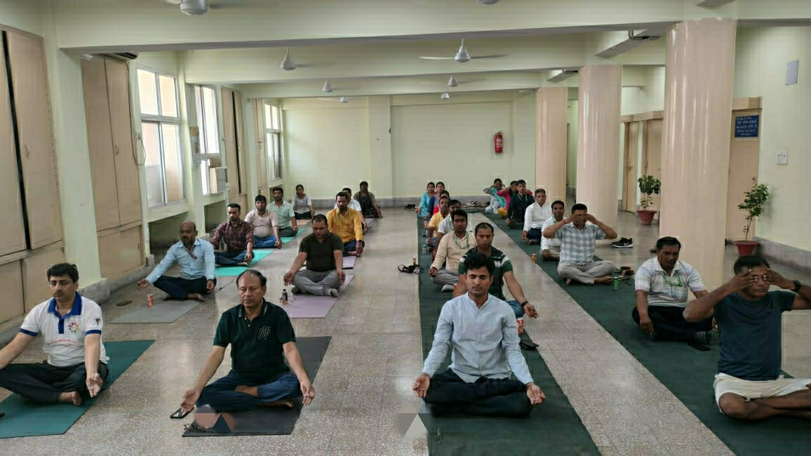 योग दिवस 2024